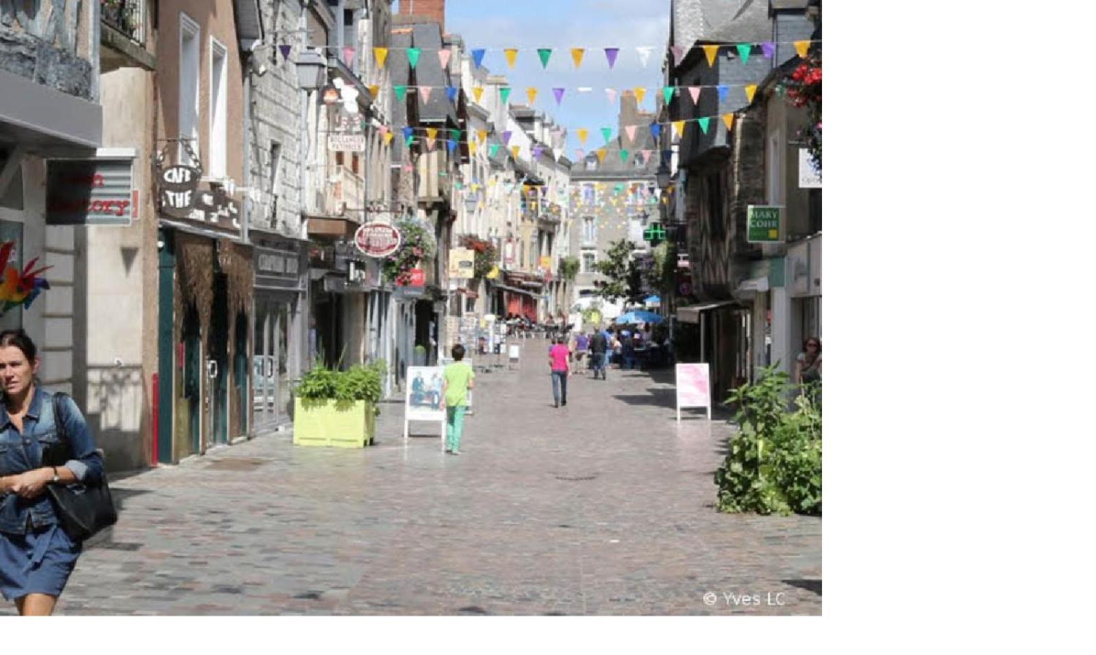 Spacieux T3 Lumineux Dans Quartier Historique Avec Wifi ريدون المظهر الخارجي الصورة