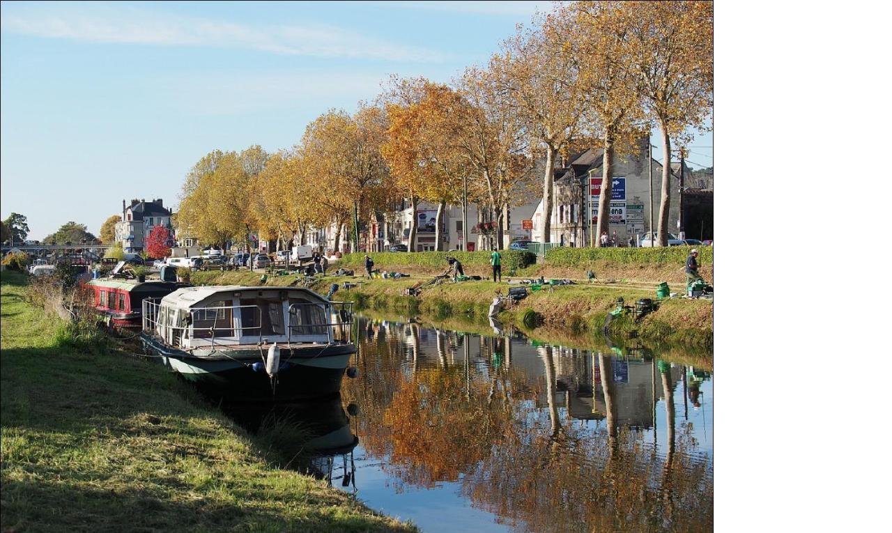 Spacieux T3 Lumineux Dans Quartier Historique Avec Wifi ريدون المظهر الخارجي الصورة